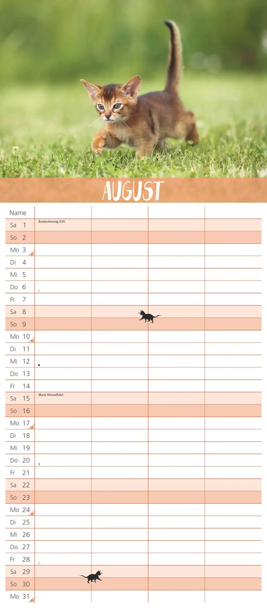 Bild: 4069095003798 | Dumonts Katzen Kalender - Familienplaner im Format 19,5 x 45 | 14 S.