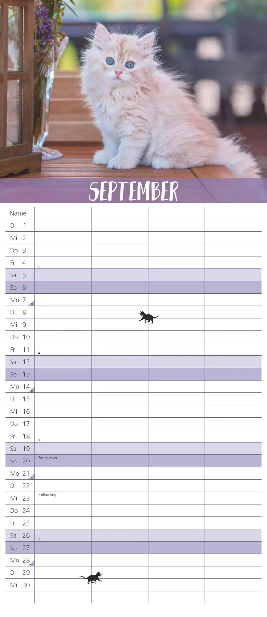 Bild: 4069095003798 | Dumonts Katzen Kalender - Familienplaner im Format 19,5 x 45 | 14 S.