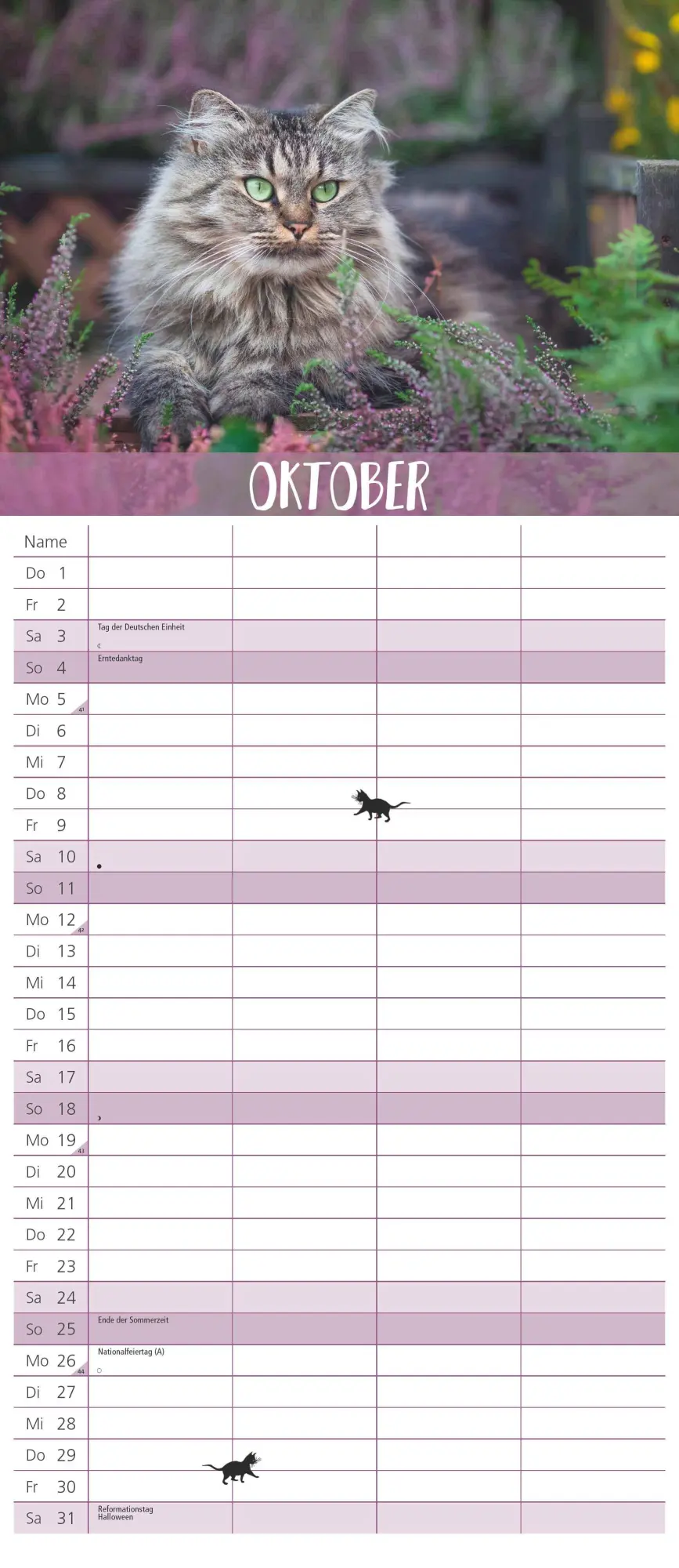 Bild: 4069095003798 | Dumonts Katzen Kalender - Familienplaner im Format 19,5 x 45 | 14 S.
