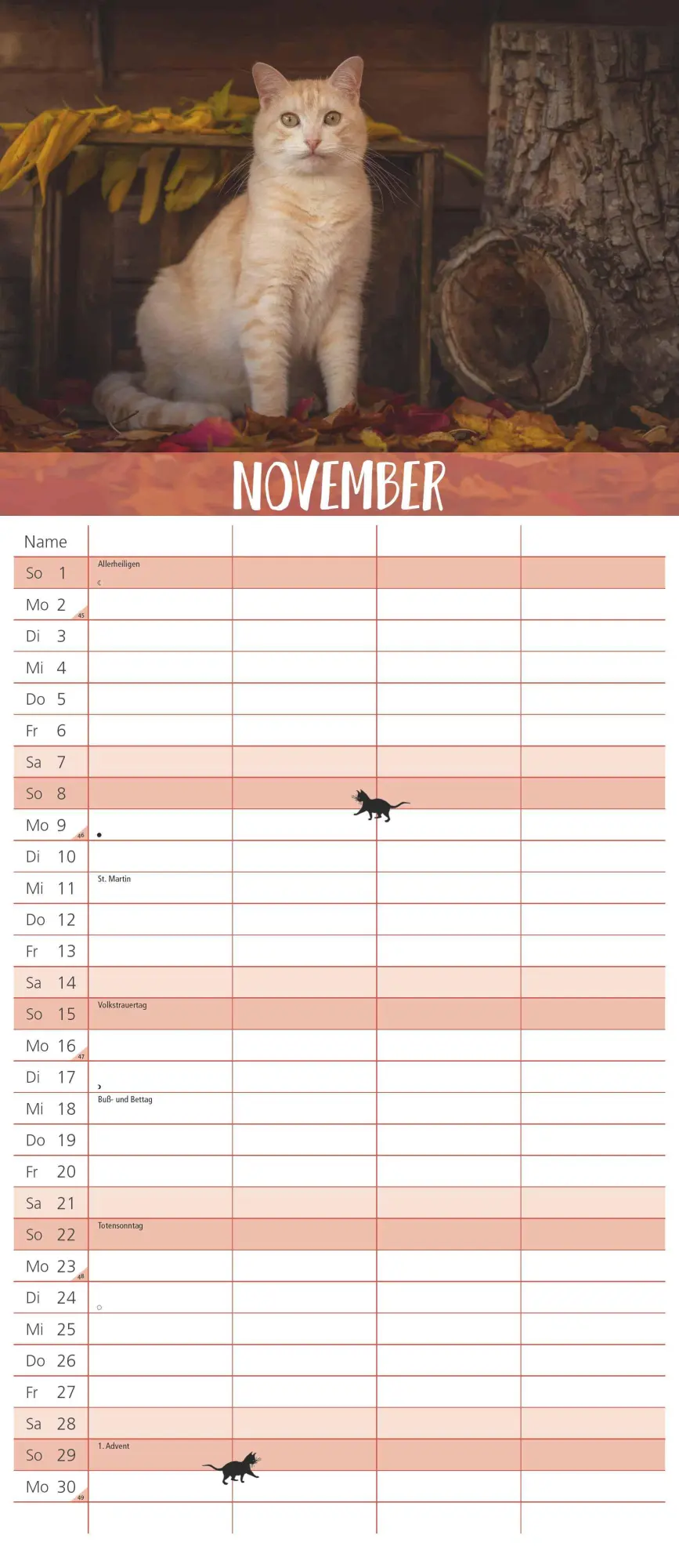 Bild: 4069095003798 | Dumonts Katzen Kalender - Familienplaner im Format 19,5 x 45 | 14 S.