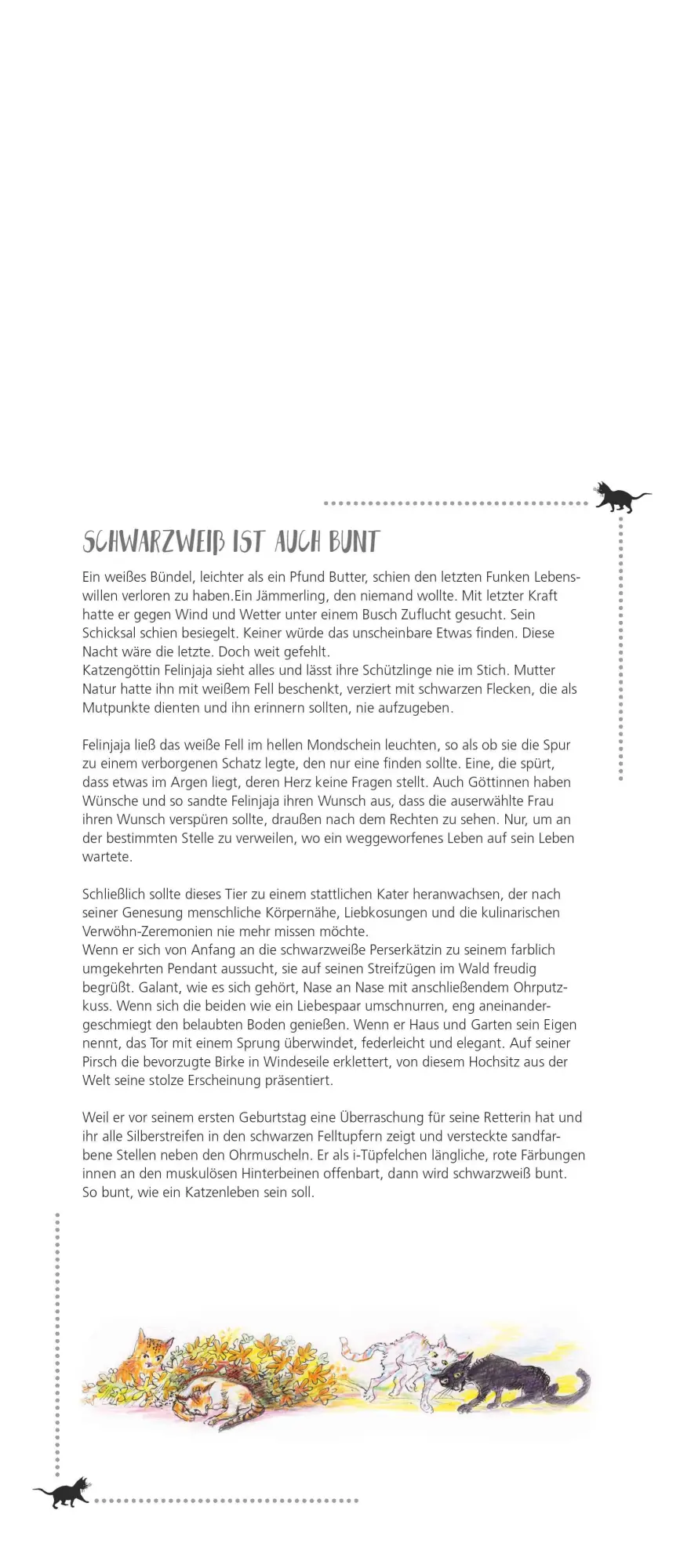 Bild: 4069095003798 | Dumonts Katzen Kalender - Familienplaner im Format 19,5 x 45 | 14 S.