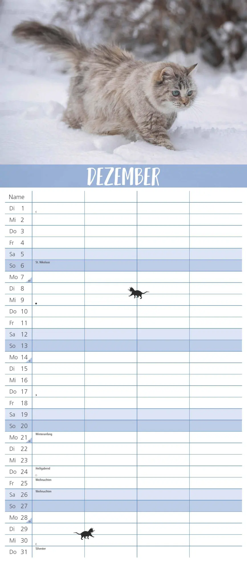 Bild: 4069095003798 | Dumonts Katzen Kalender - Familienplaner im Format 19,5 x 45 | 14 S.