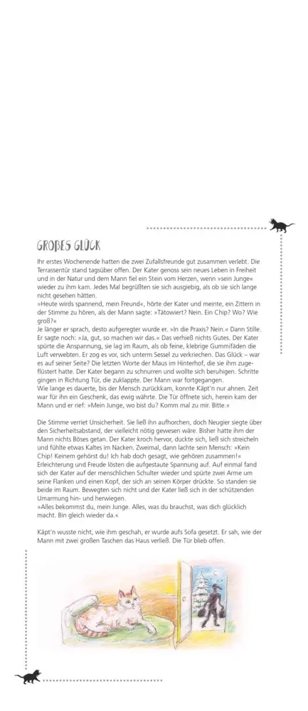 Bild: 4069095003798 | DUMONTS - Katzen Kalender 2026 - Familienplaner 20x45 cm - mit...