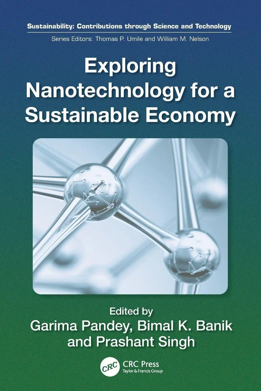 Cover: 9781041053798 | Exploring Nanotechnology for a Sustainable Economy | Banik (u. a.)