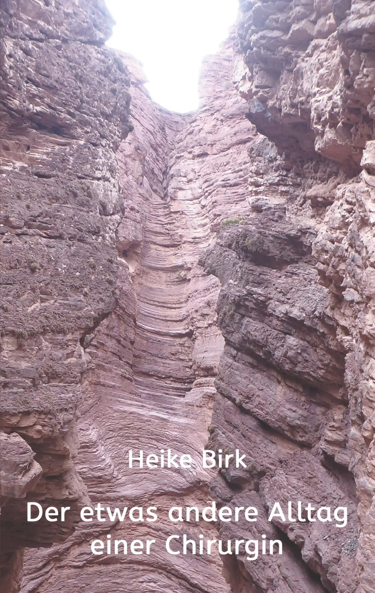 Cover: 9783347313798 | Der etwas andere Alltag einer Chirurgin | Heike Birk | Taschenbuch