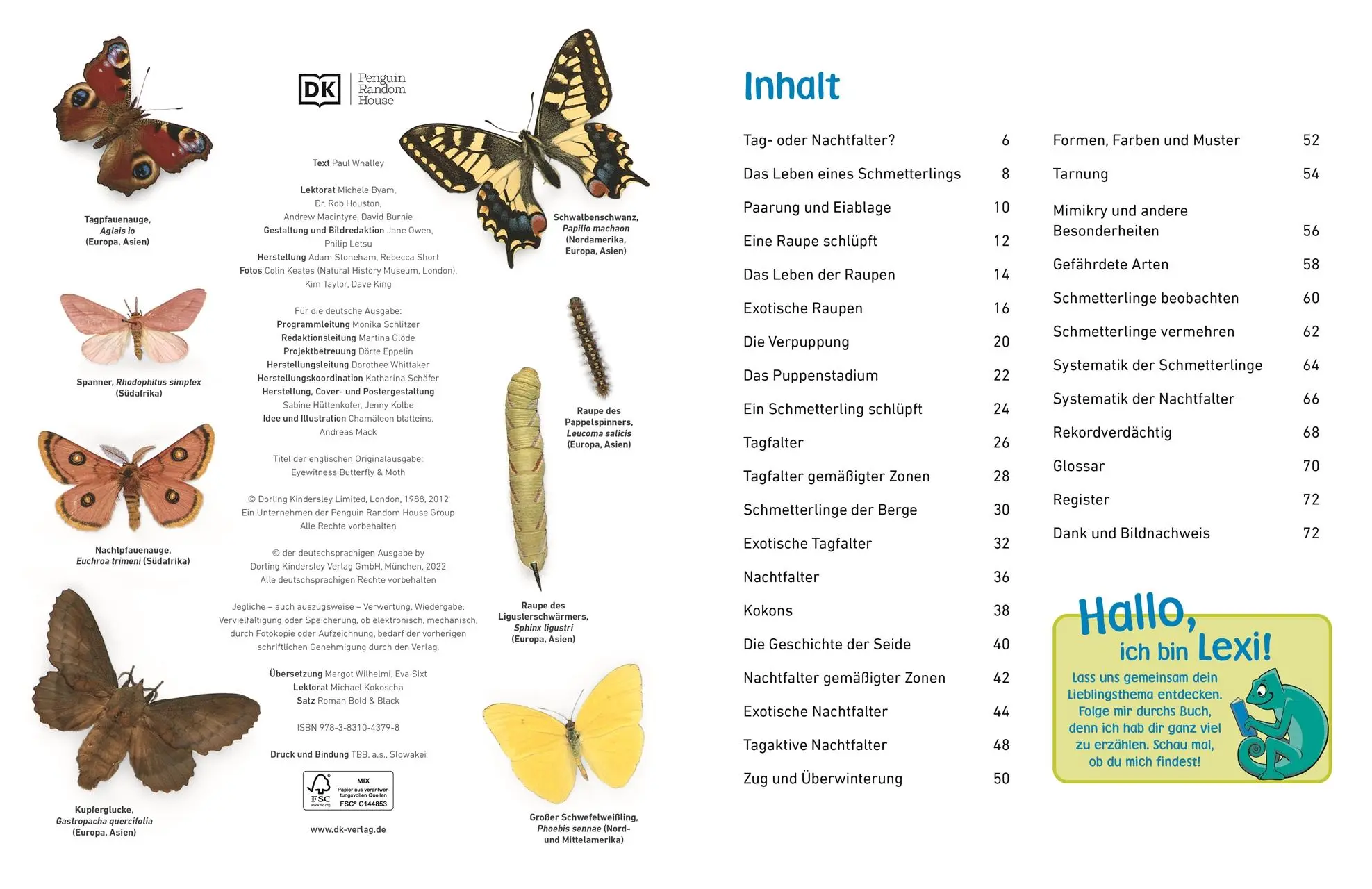 Bild: 9783831043798 | memo Wissen entdecken. Schmetterlinge | Paul Whalley | Buch | 72 S.