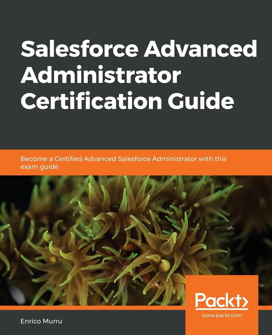 Cover: 9781838643898 | Salesforce Advanced Administrator Certification Guide | Enrico Murru