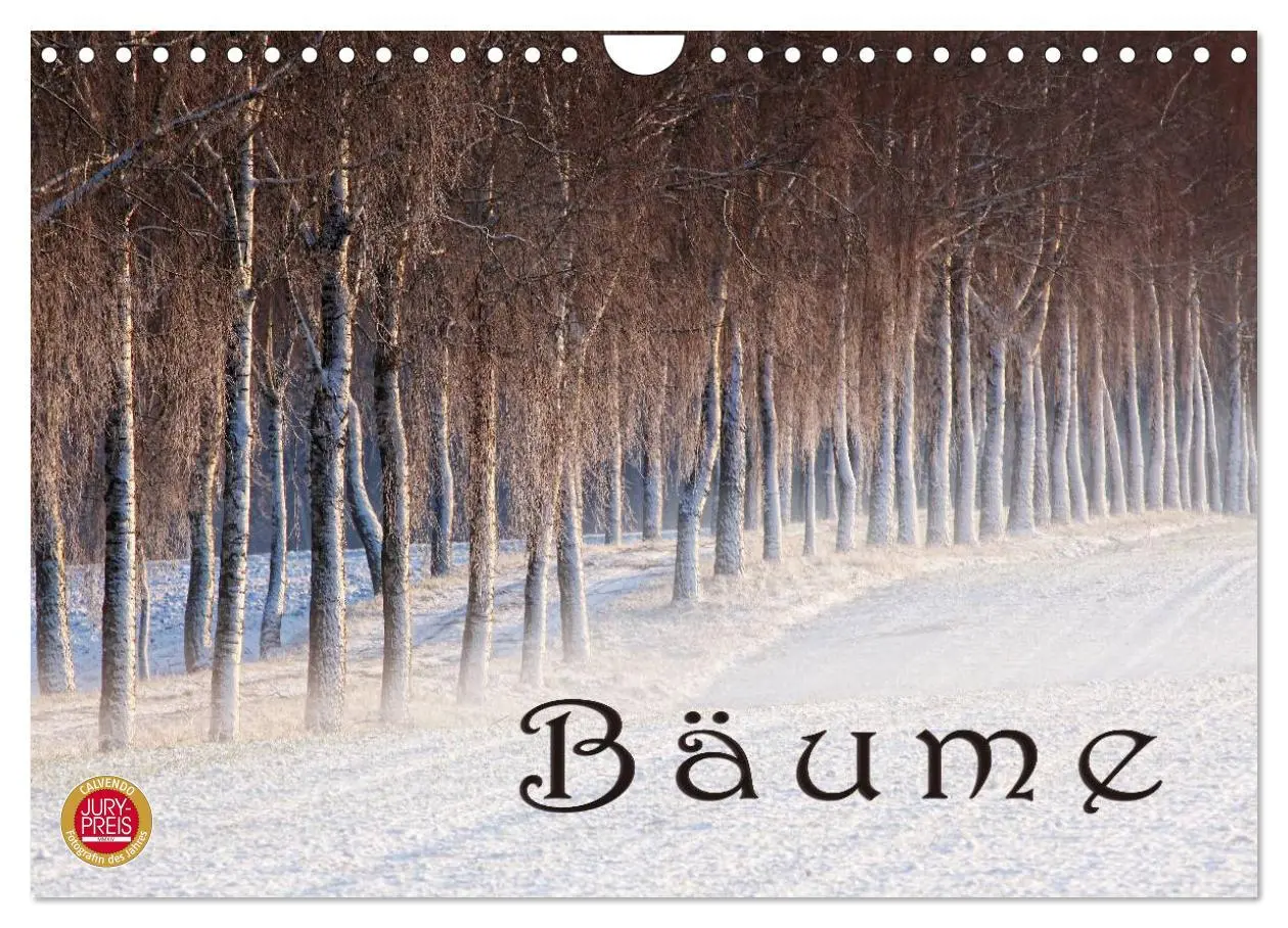 Cover: 9783516143898 | Bäume (Wandkalender 2026 DIN A4 quer), CALVENDO Monatskalender | Cross