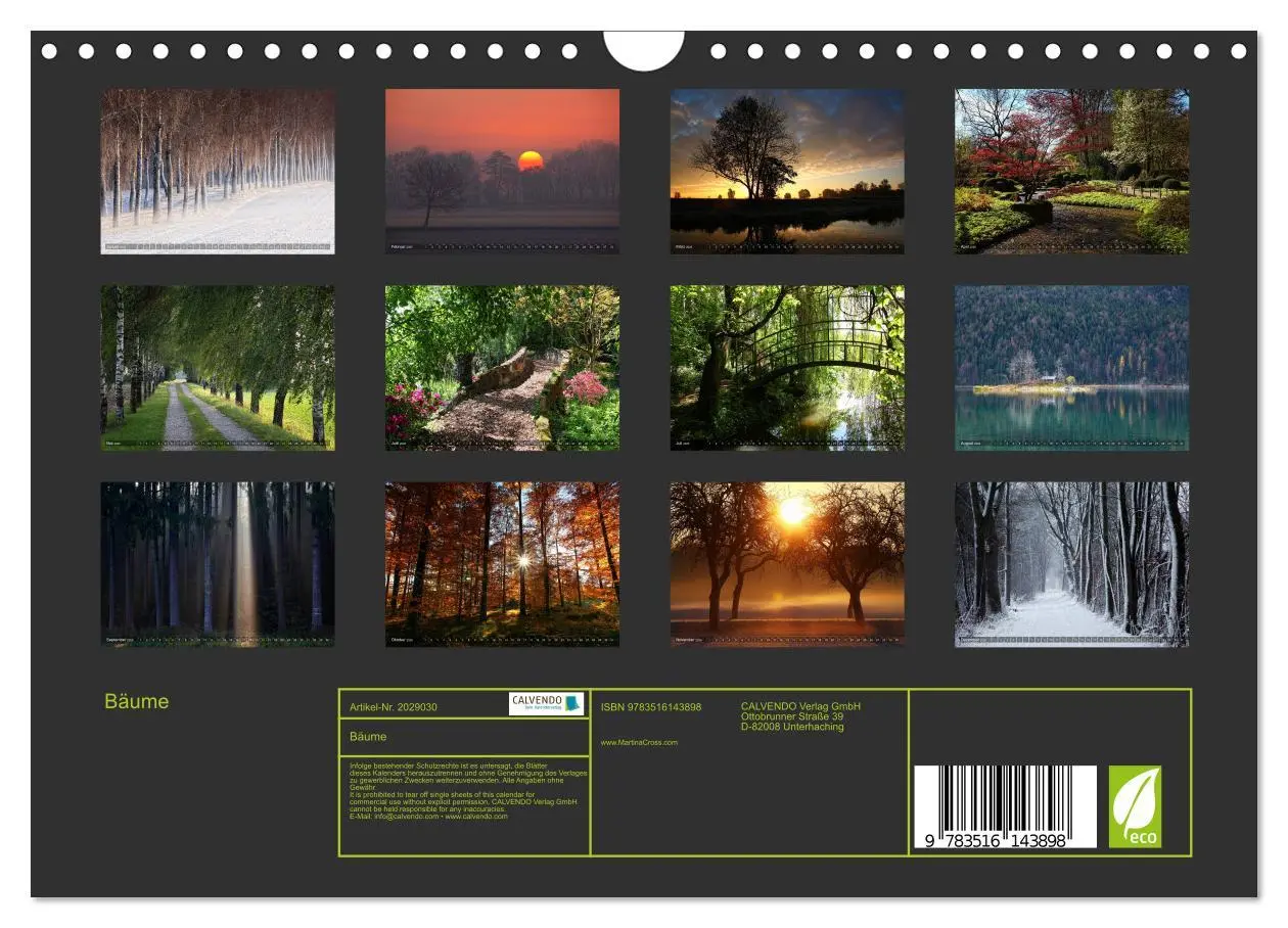 Bild: 9783516143898 | Bäume (Wandkalender 2026 DIN A4 quer), CALVENDO Monatskalender | Cross