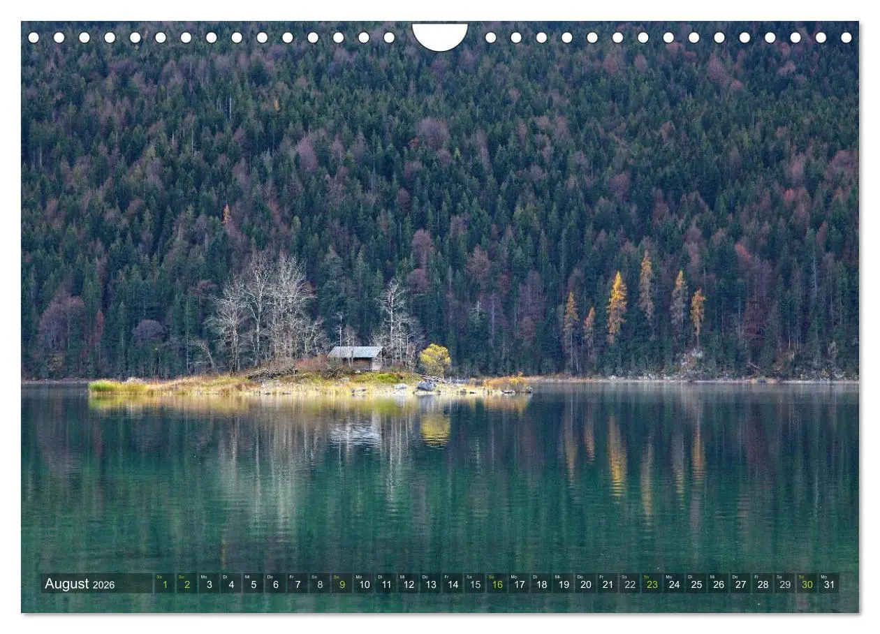 Bild: 9783516143898 | Bäume (Wandkalender 2026 DIN A4 quer), CALVENDO Monatskalender | Cross