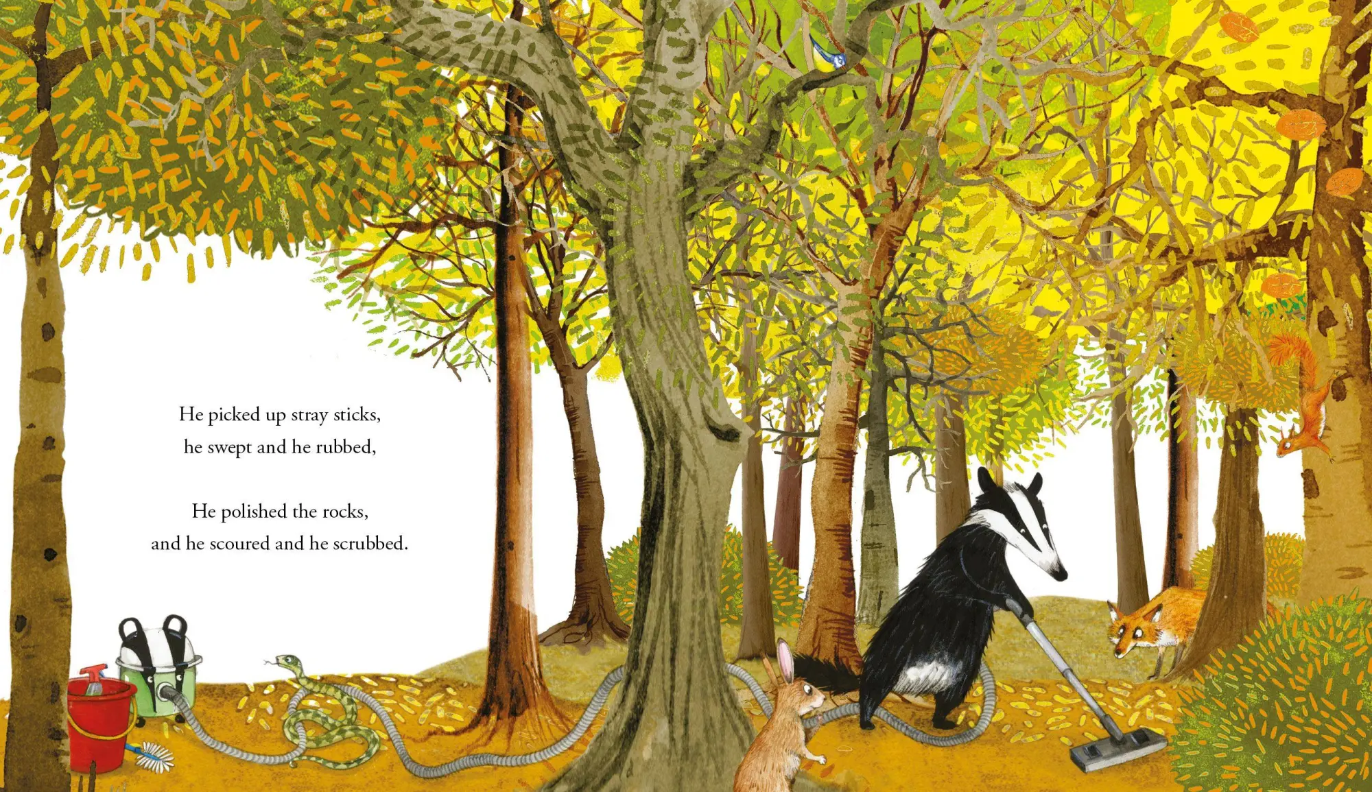 Bild: 9781447273998 | Tidy | Emily Gravett | Taschenbuch | A Pete the Badger Story | 40 S.