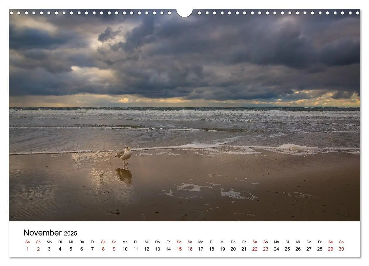 Bild: 9783435403998 | Langeoog - Ein Herbst auf der Insel des Lebens (Wandkalender 2025...