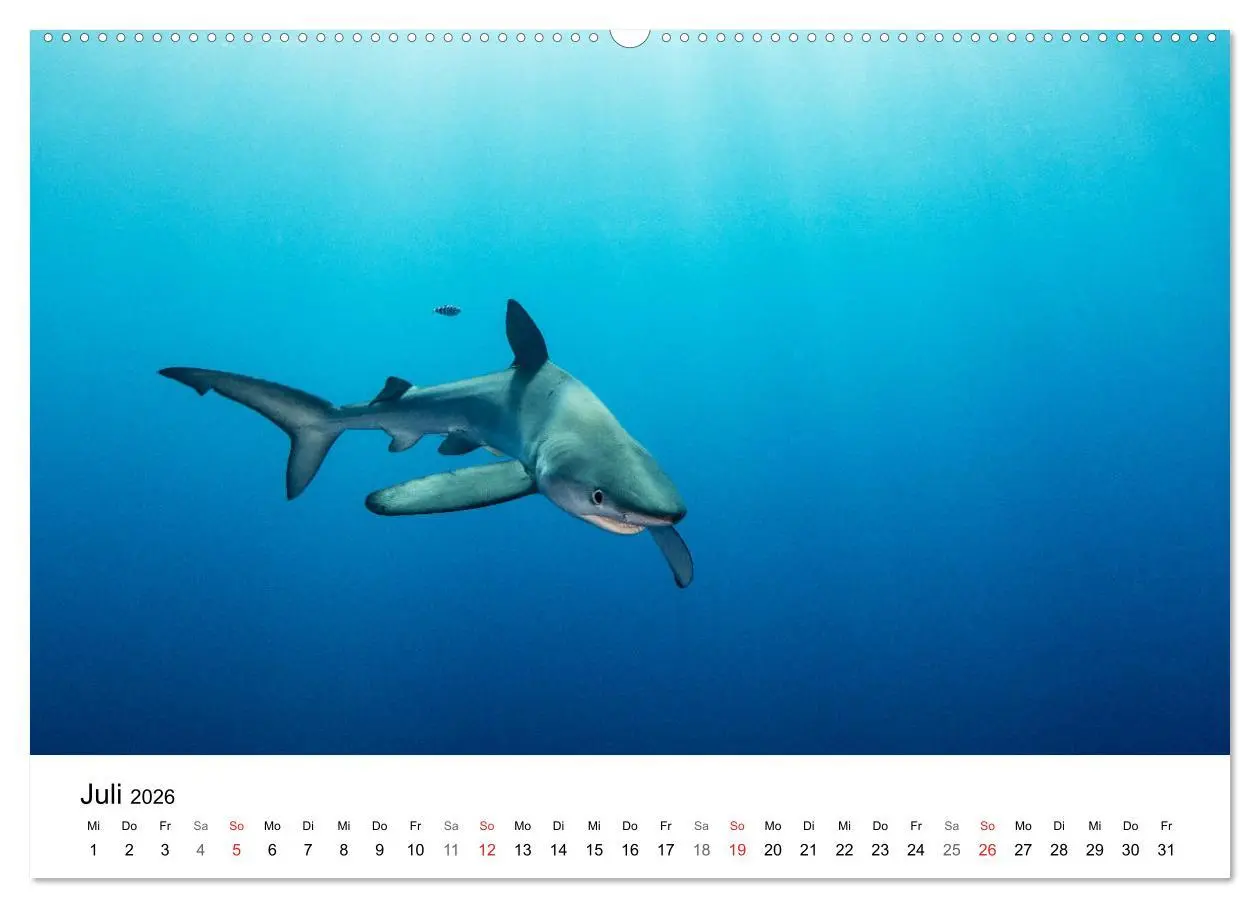 Bild: 9783516063998 | Highlights aus dem Meer - Tauchkalender (hochwertiger Premium...