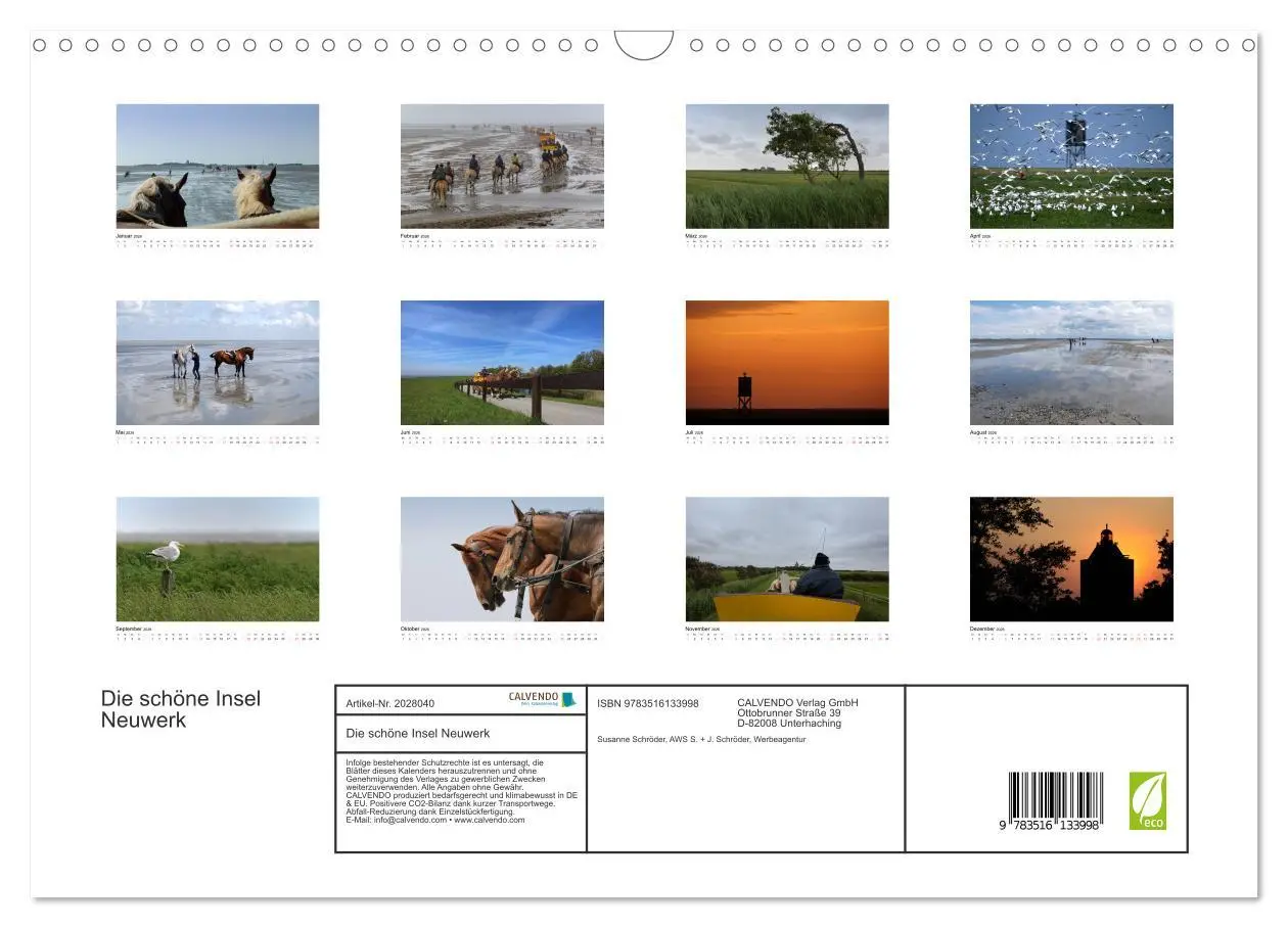 Bild: 9783516133998 | Die schöne Insel Neuwerk (Wandkalender 2026 DIN A3 quer), CALVENDO...