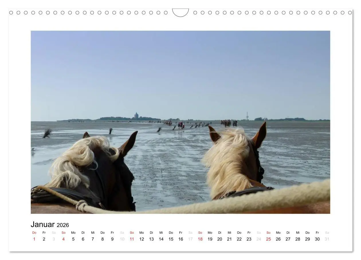Bild: 9783516133998 | Die schöne Insel Neuwerk (Wandkalender 2026 DIN A3 quer), CALVENDO...