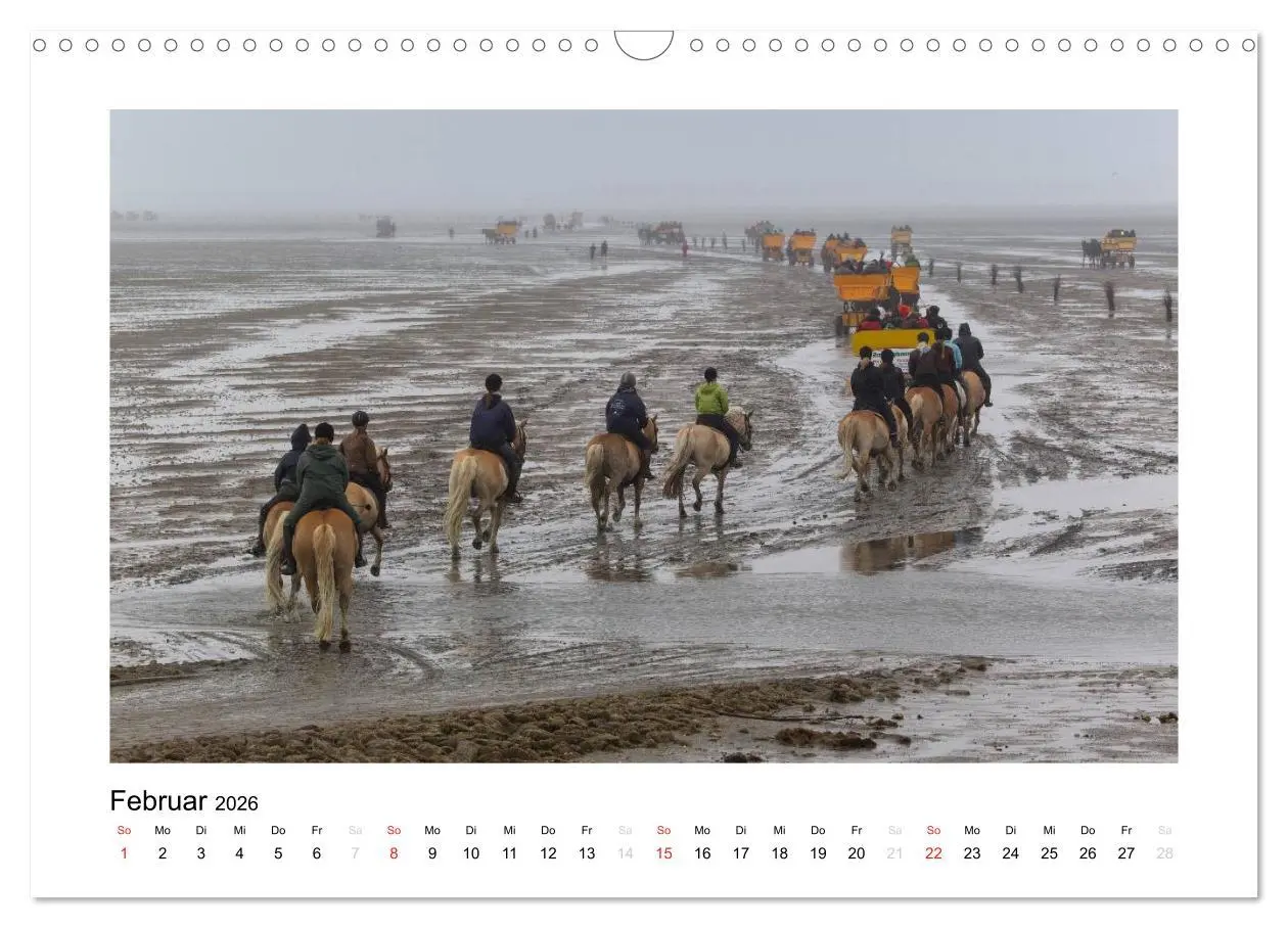 Bild: 9783516133998 | Die schöne Insel Neuwerk (Wandkalender 2026 DIN A3 quer), CALVENDO...