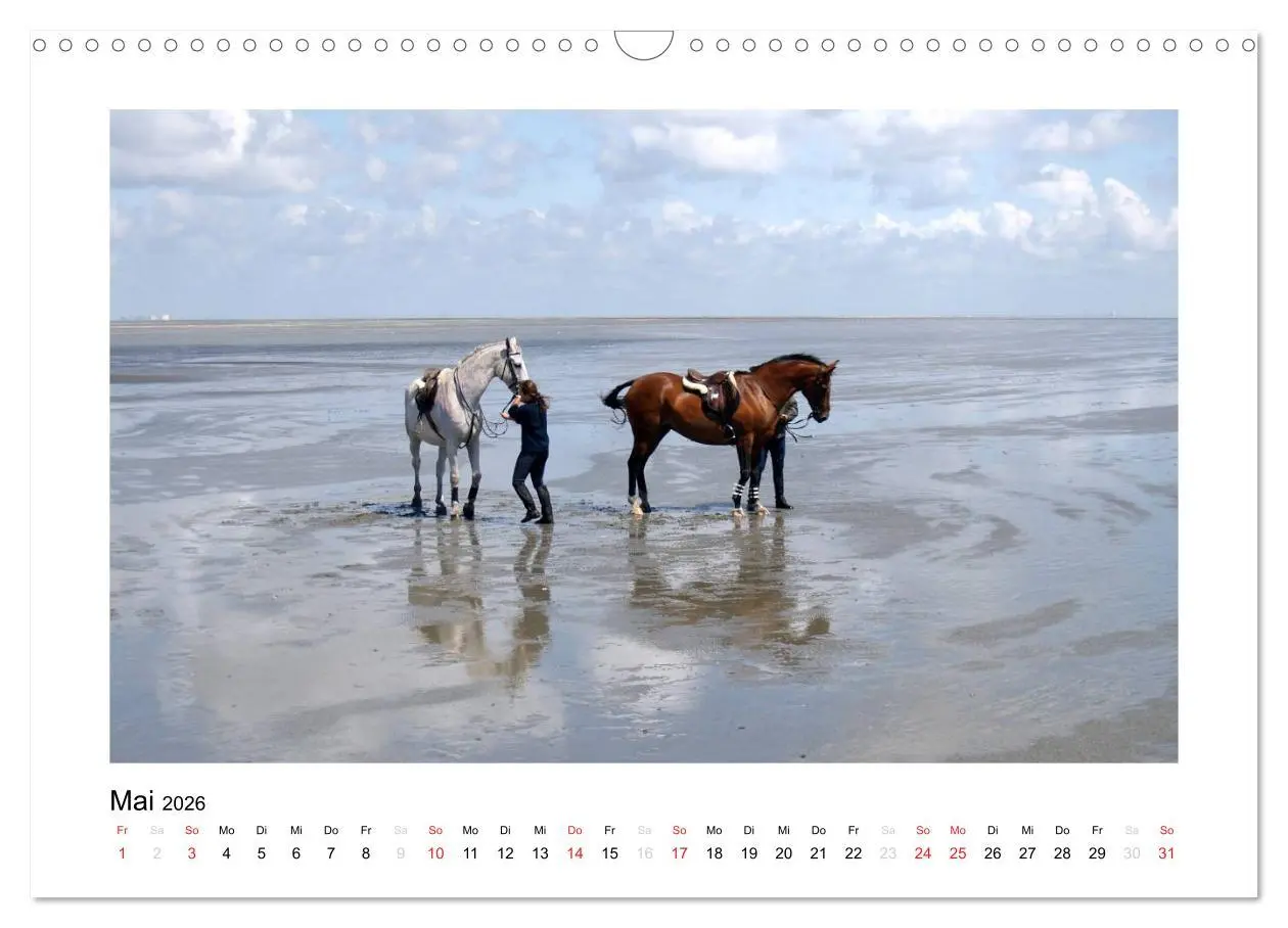 Bild: 9783516133998 | Die schöne Insel Neuwerk (Wandkalender 2026 DIN A3 quer), CALVENDO...