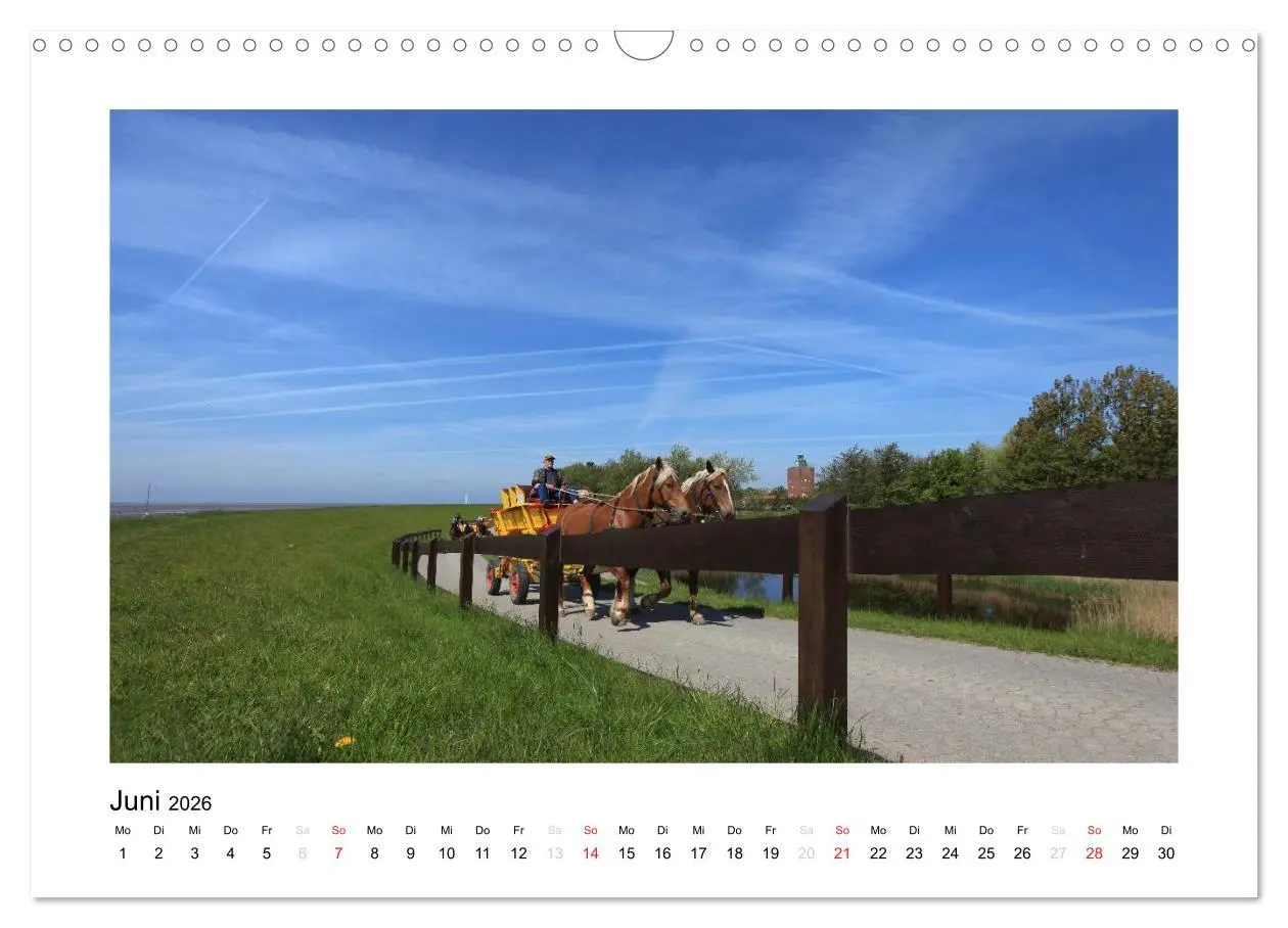Bild: 9783516133998 | Die schöne Insel Neuwerk (Wandkalender 2026 DIN A3 quer), CALVENDO...