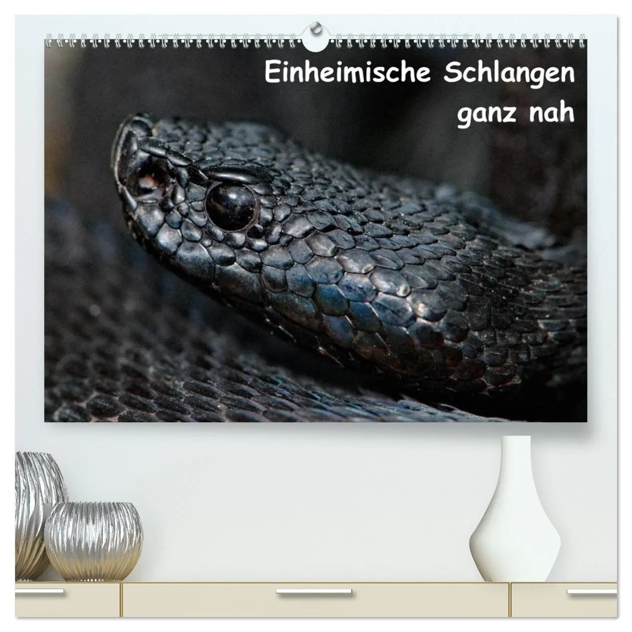 Cover: 9783516203998 | Einheimische Schlangen ganz nah (hochwertiger Premium Wandkalender...