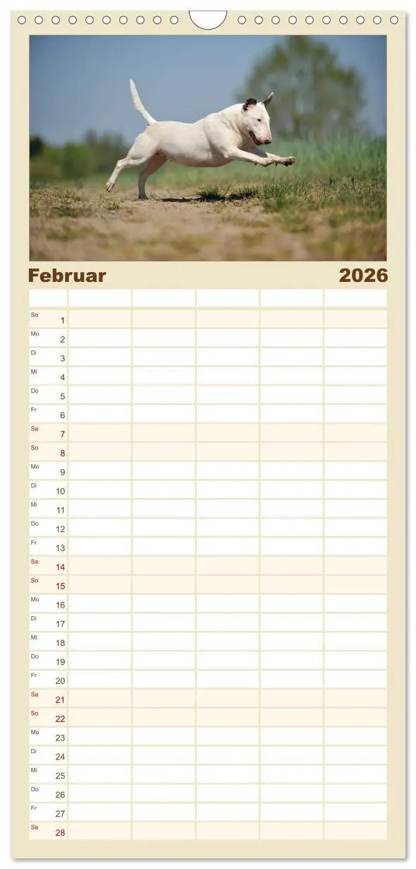 Bild: 9783516513998 | Familienplaner 2026 - Bullterrier? Was sonst! mit 5 Spalten...