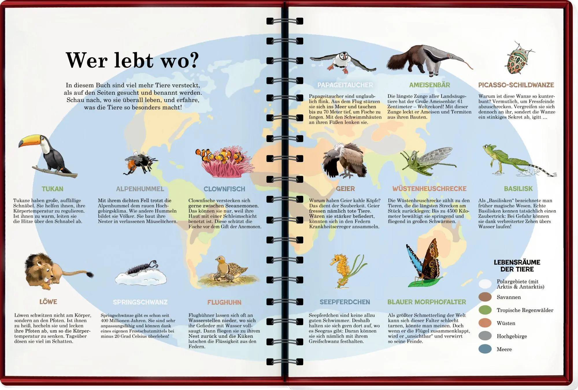 Bild: 9783649653998 | Mein riesengroßes WimmelSuchBuch: Tiere in aller Welt | Antje Flad