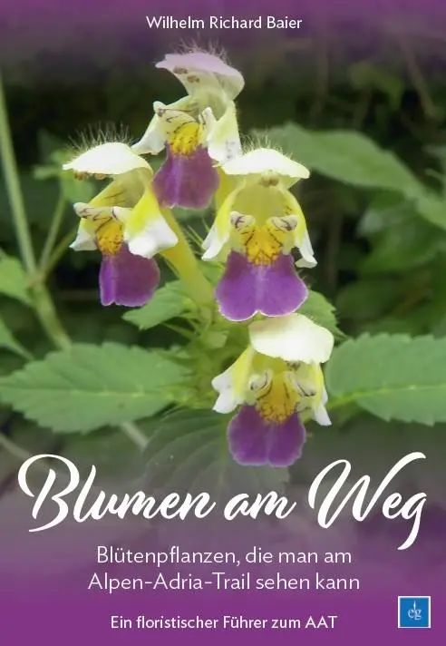 Cover: 9783900323998 | Blumen am Weg | Wilhelm Richard Baier | Taschenbuch | 212 S. | Deutsch