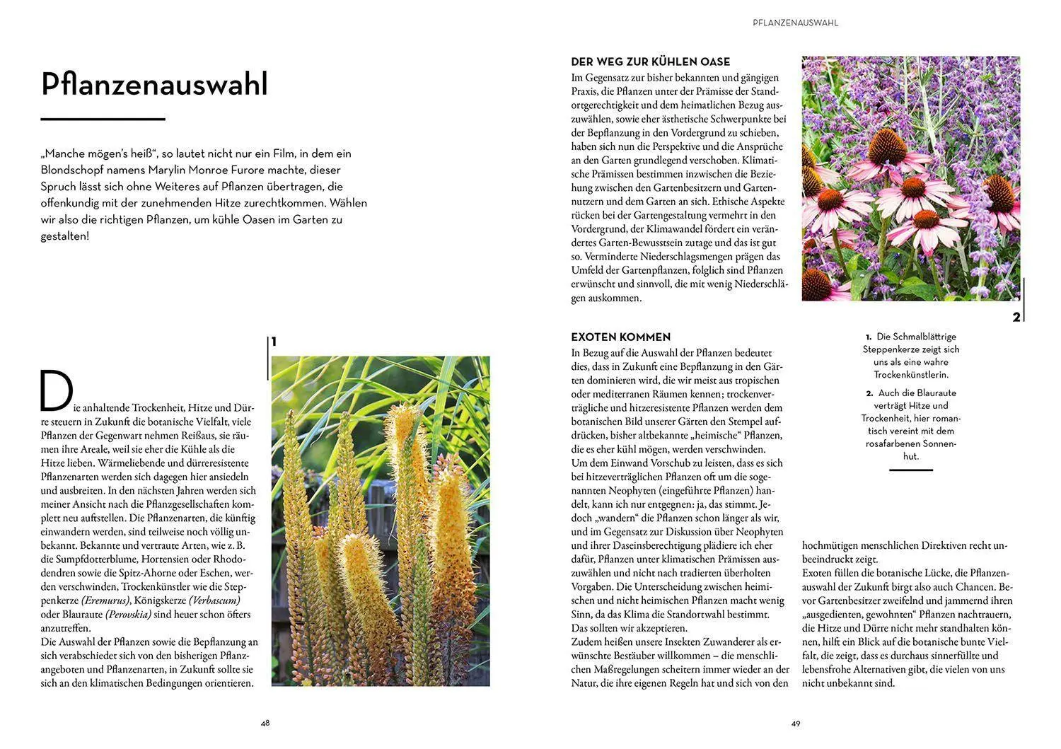 Bild: 9783440174098 | Oase - kühler Garten | Markus Meyer | Taschenbuch | 112 S. | Deutsch