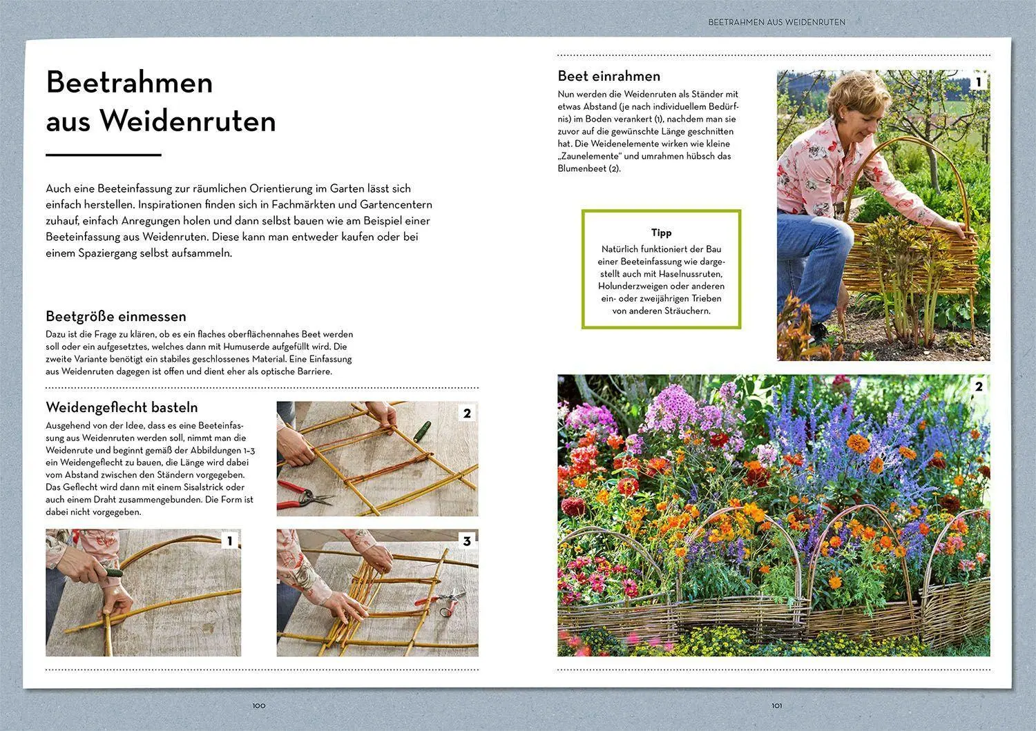 Bild: 9783440174098 | Oase - kühler Garten | Markus Meyer | Taschenbuch | 112 S. | Deutsch