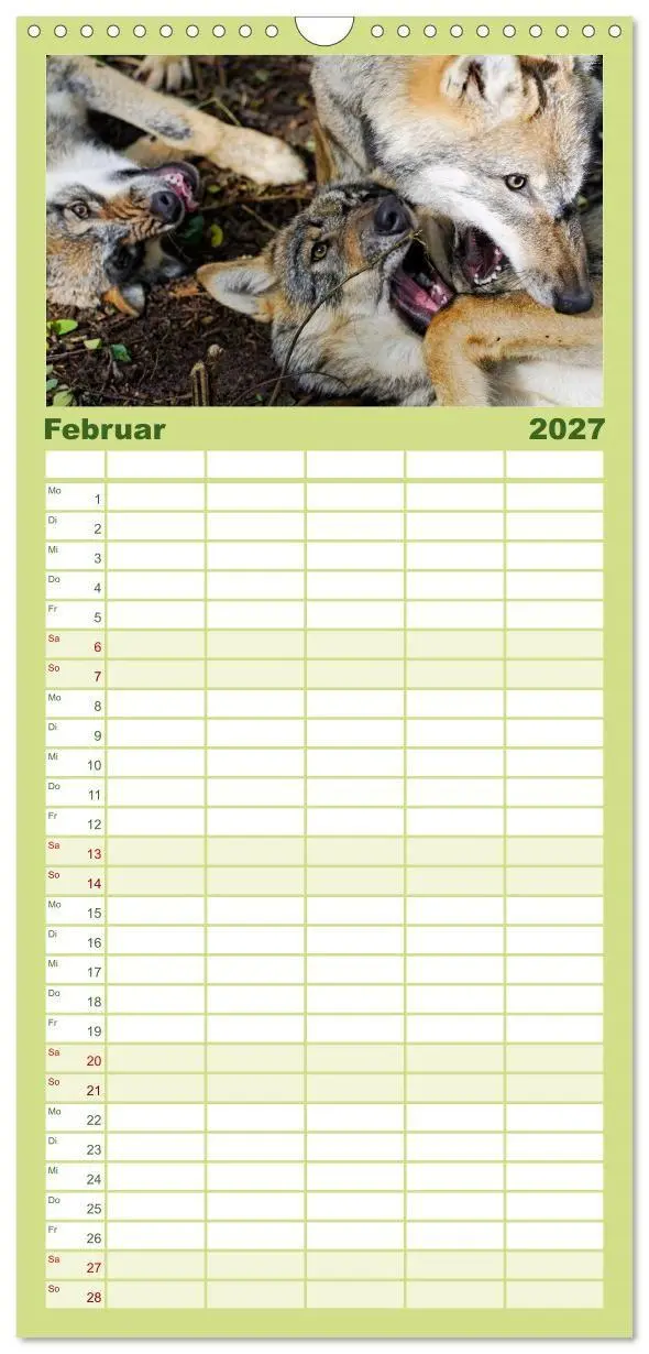 Bild: 9783594314098 | Familienplaner 2027 - Unsere Wölfe - Ein Wildtier kehrt zurück mit...