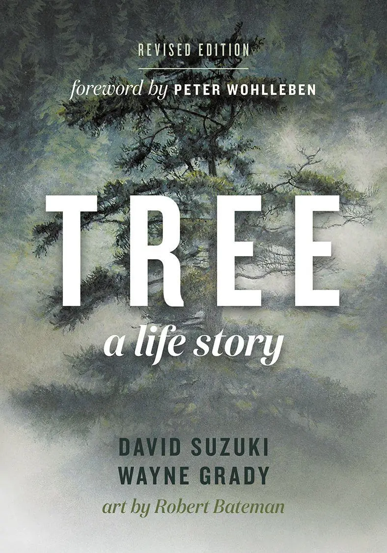 Cover: 9781771644198 | Tree | A Life Story | David Suzuki (u. a.) | Taschenbuch | Englisch