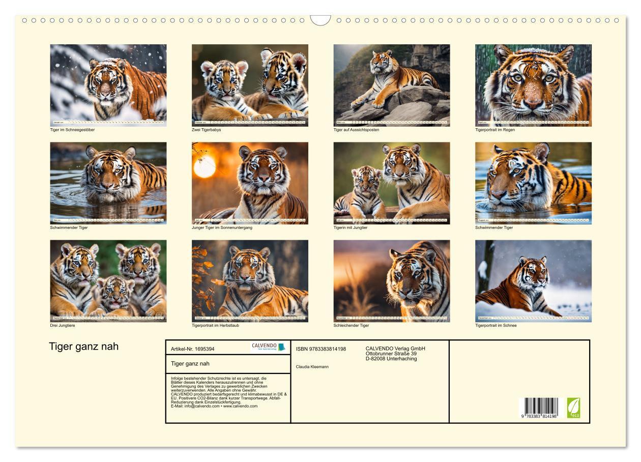 Bild: 9783383814198 | Tiger ganz nah (Wandkalender 2025 DIN A2 quer), CALVENDO...