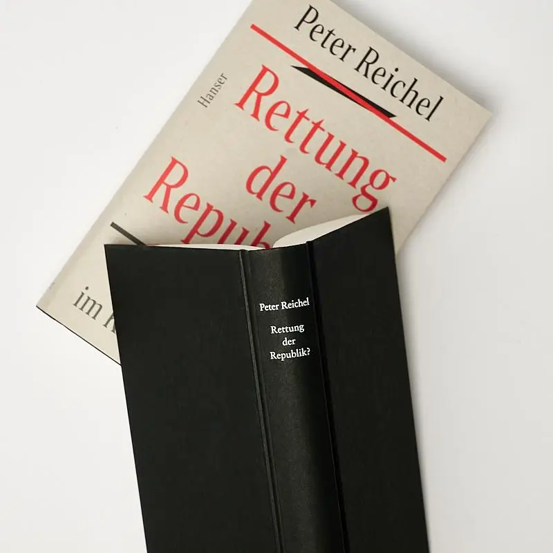 Bild: 9783446274198 | Rettung der Republik? | Deutschland im Krisenjahr 1923 | Peter Reichel