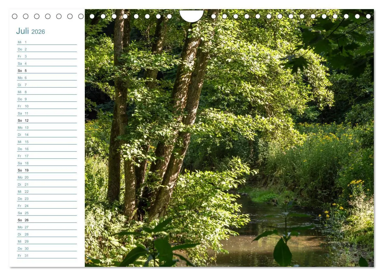 Bild: 9783457544198 | Lebensadern - Elbsandstein (Wandkalender 2026 DIN A4 quer),...