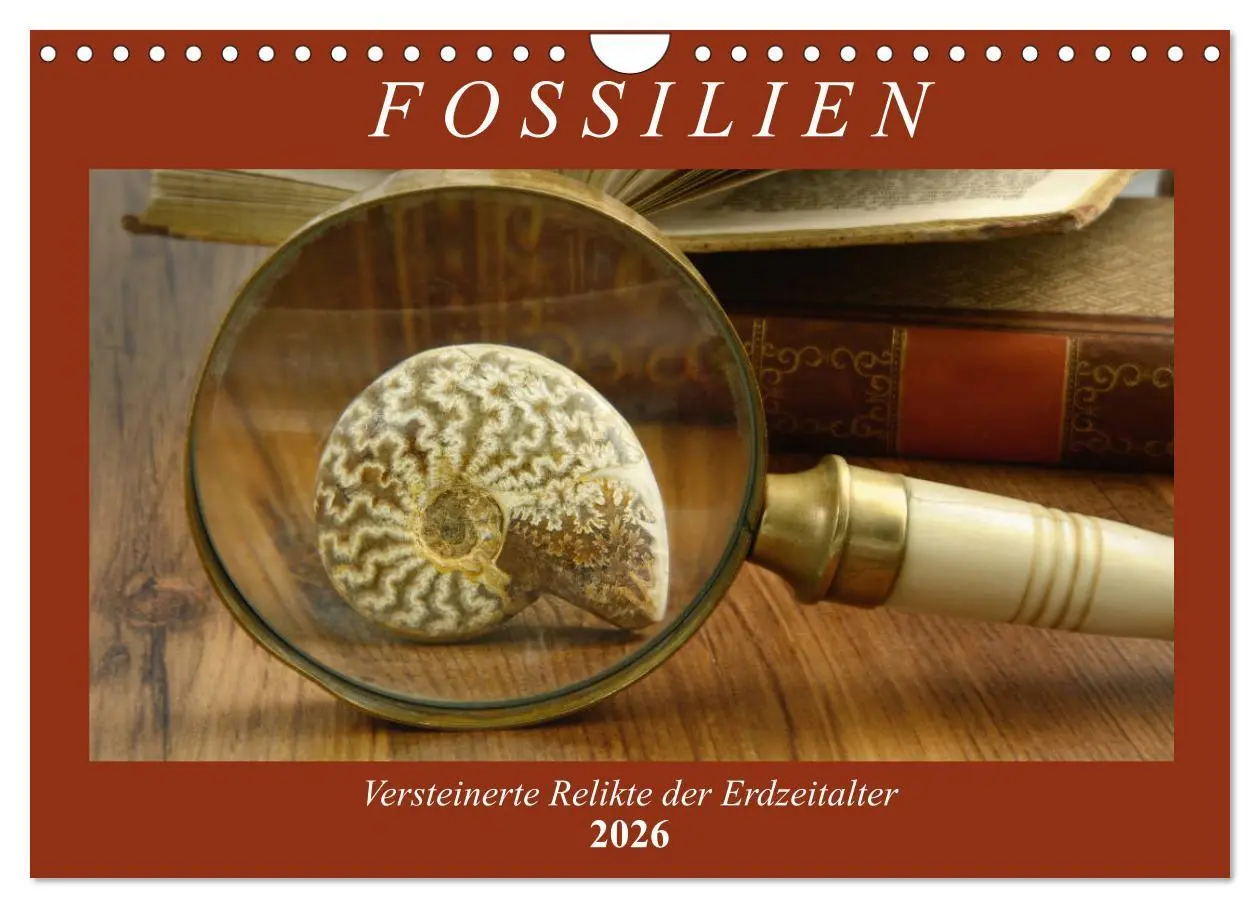 Cover: 9783457854198 | Fossilien - Versteinerte Relikte der Erdzeitalter (Wandkalender...
