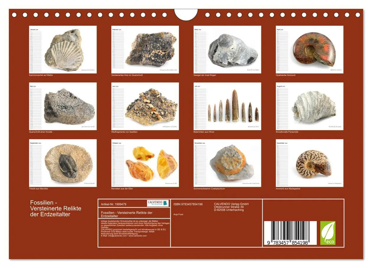 Bild: 9783457854198 | Fossilien - Versteinerte Relikte der Erdzeitalter (Wandkalender...