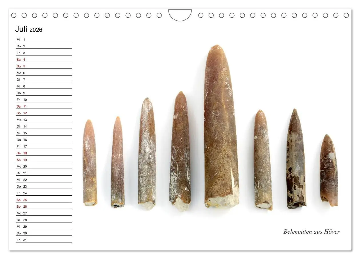 Bild: 9783457854198 | Fossilien - Versteinerte Relikte der Erdzeitalter (Wandkalender...