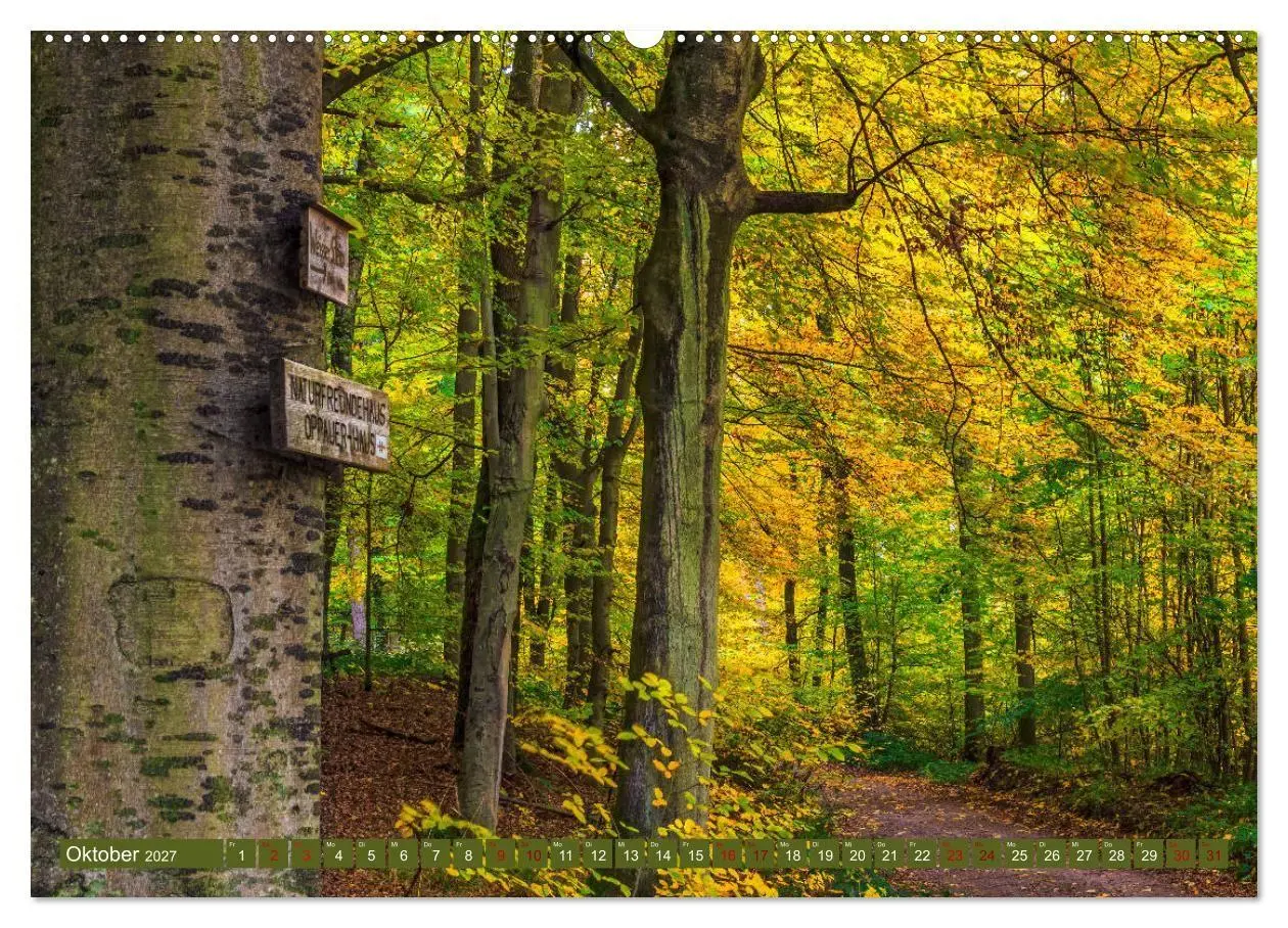 Bild: 9783569584198 | Augenschmaus Pfälzer Wald (hochwertiger Premium Wandkalender 2027...