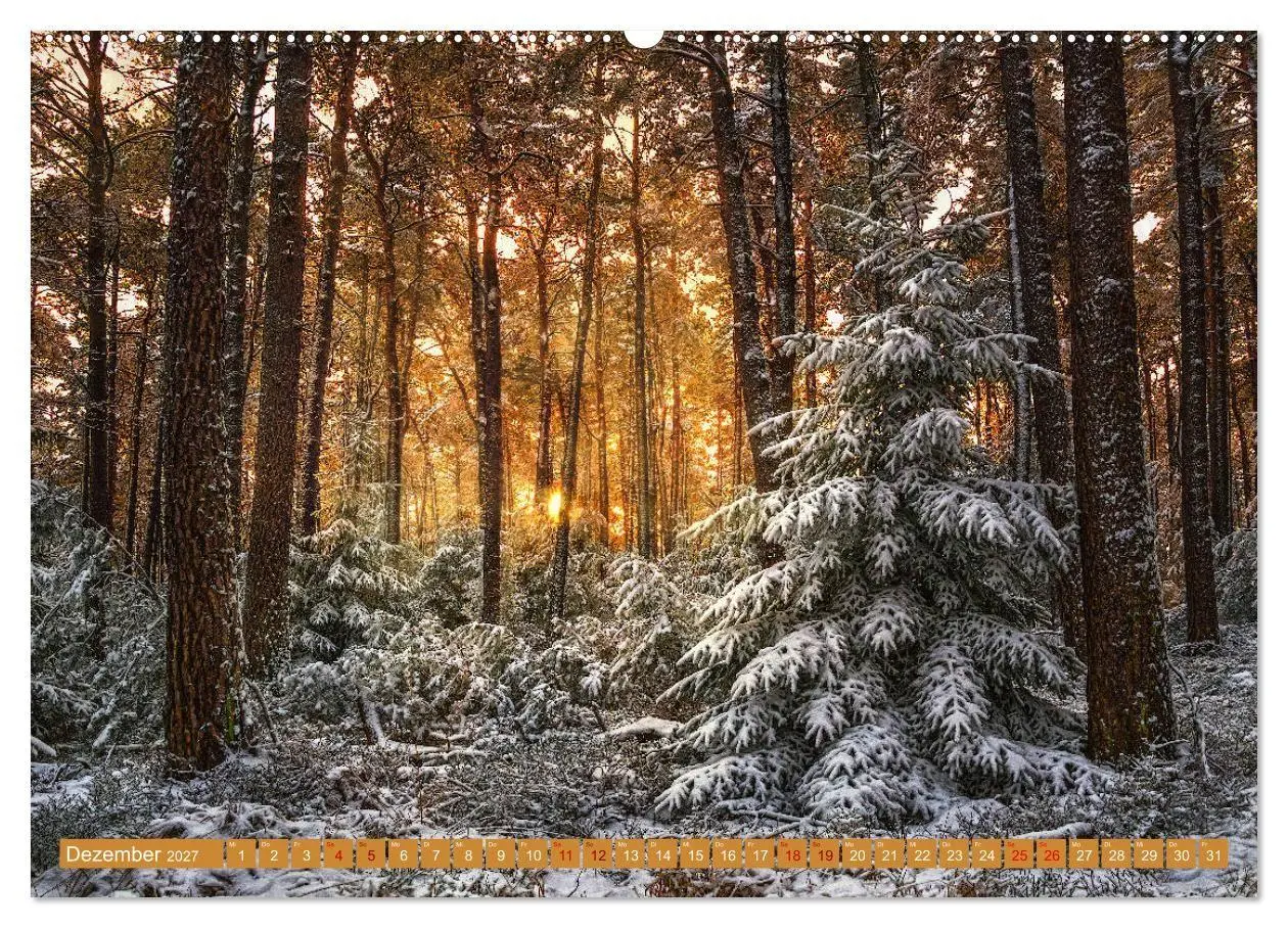 Bild: 9783569584198 | Augenschmaus Pfälzer Wald (hochwertiger Premium Wandkalender 2027...