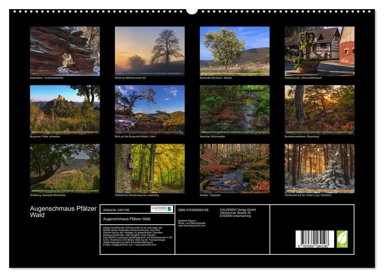 Bild: 9783569584198 | Augenschmaus Pfälzer Wald (hochwertiger Premium Wandkalender 2027...