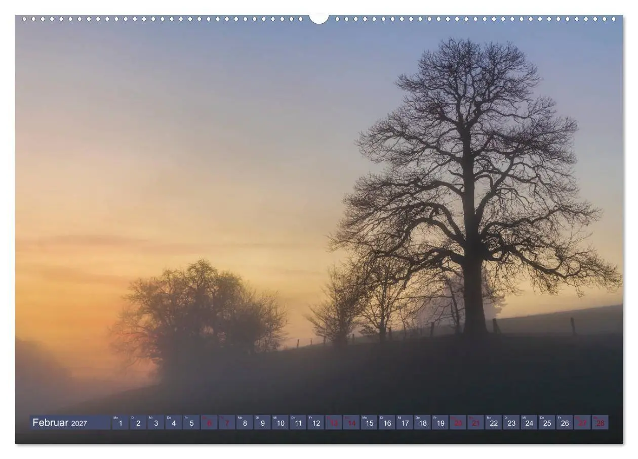 Bild: 9783569584198 | Augenschmaus Pfälzer Wald (hochwertiger Premium Wandkalender 2027...