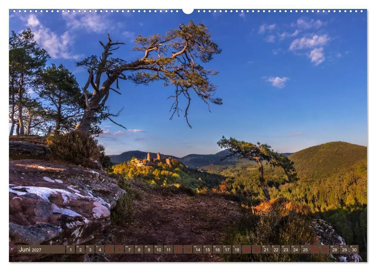 Bild: 9783569584198 | Augenschmaus Pfälzer Wald (hochwertiger Premium Wandkalender 2027...