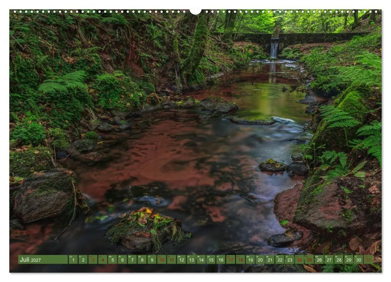 Bild: 9783569584198 | Augenschmaus Pfälzer Wald (hochwertiger Premium Wandkalender 2027...
