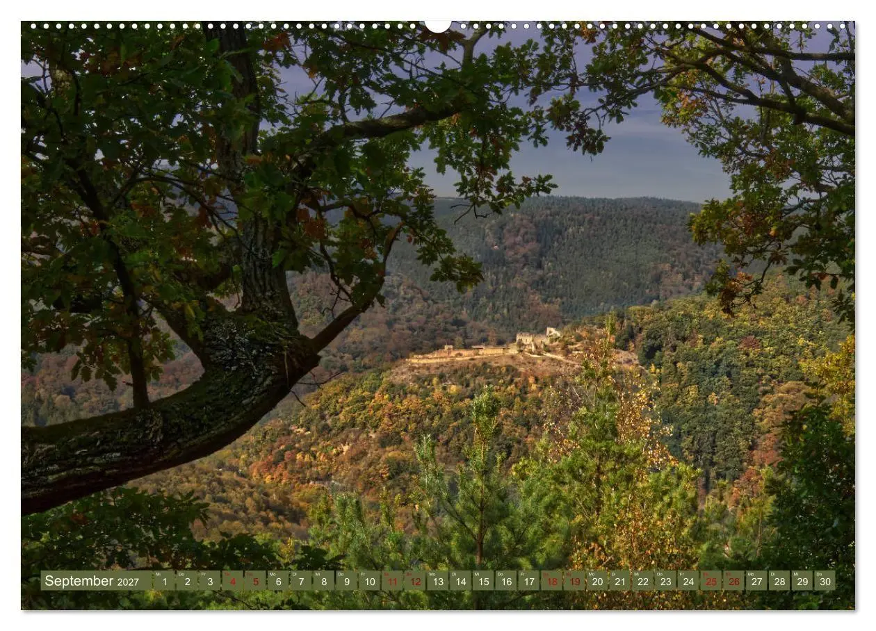 Bild: 9783569584198 | Augenschmaus Pfälzer Wald (hochwertiger Premium Wandkalender 2027...