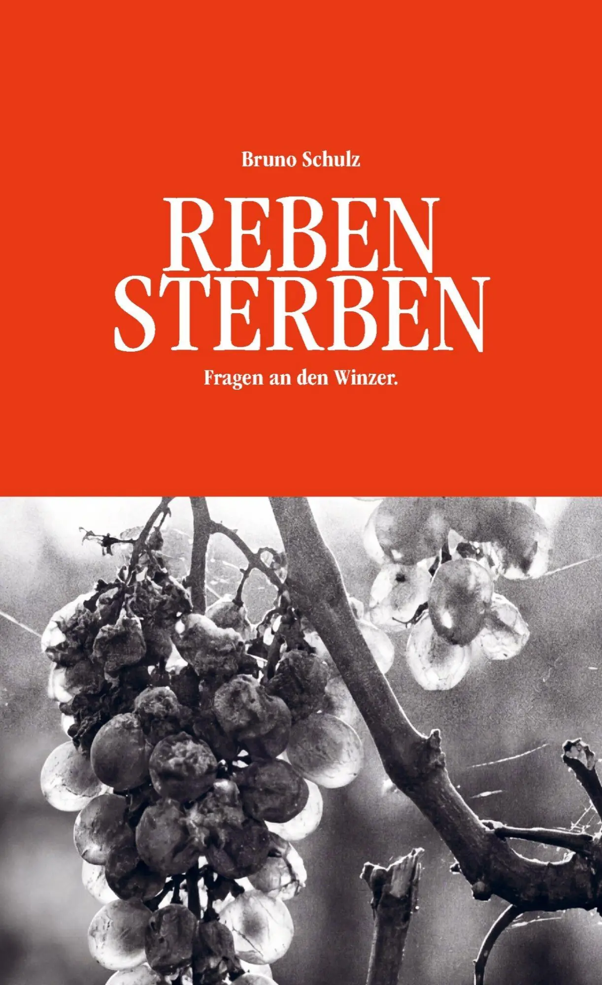 Cover: 9789403864198 | REBENSTERBEN | Fragen an den Winzer. | Bruno Schulz | Taschenbuch