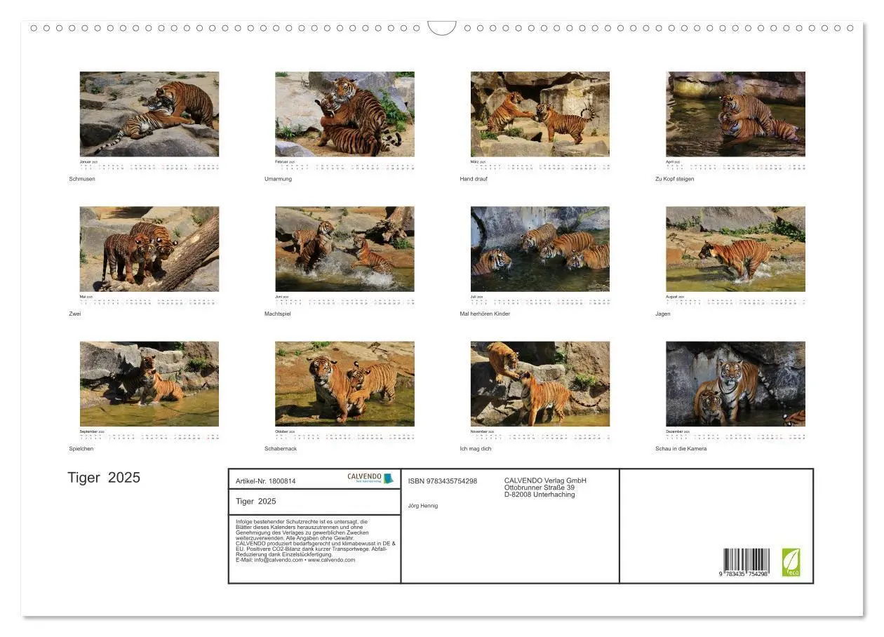 Bild: 9783435754298 | Tiger 2025 (Wandkalender 2025 DIN A2 quer), CALVENDO Monatskalender