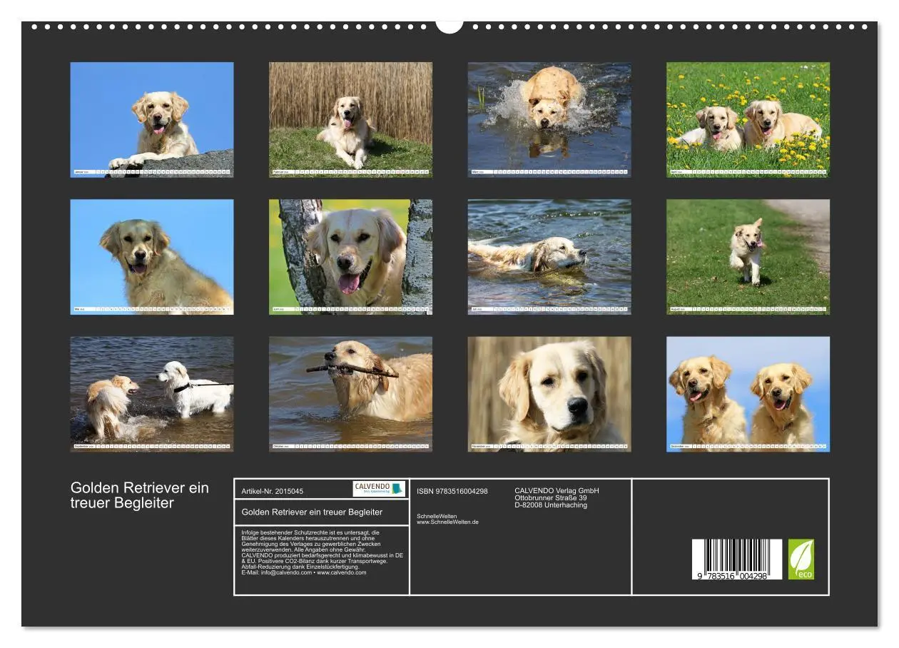 Bild: 9783516004298 | Golden Retriever ein treuer Begleiter (hochwertiger Premium...