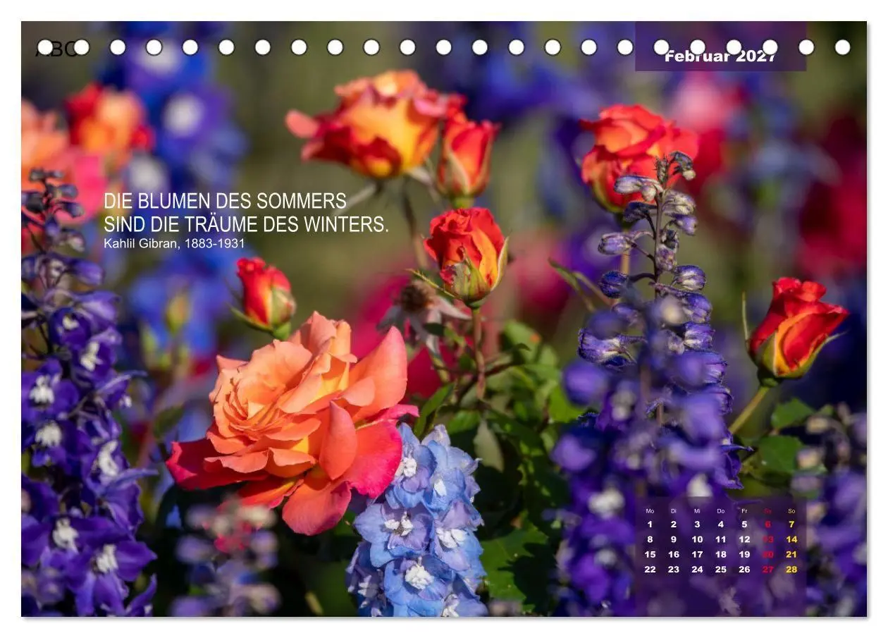 Bild: 9783569404298 | Rose Königin des Gartens (Tischkalender 2027 DIN A5 quer), CALVENDO...