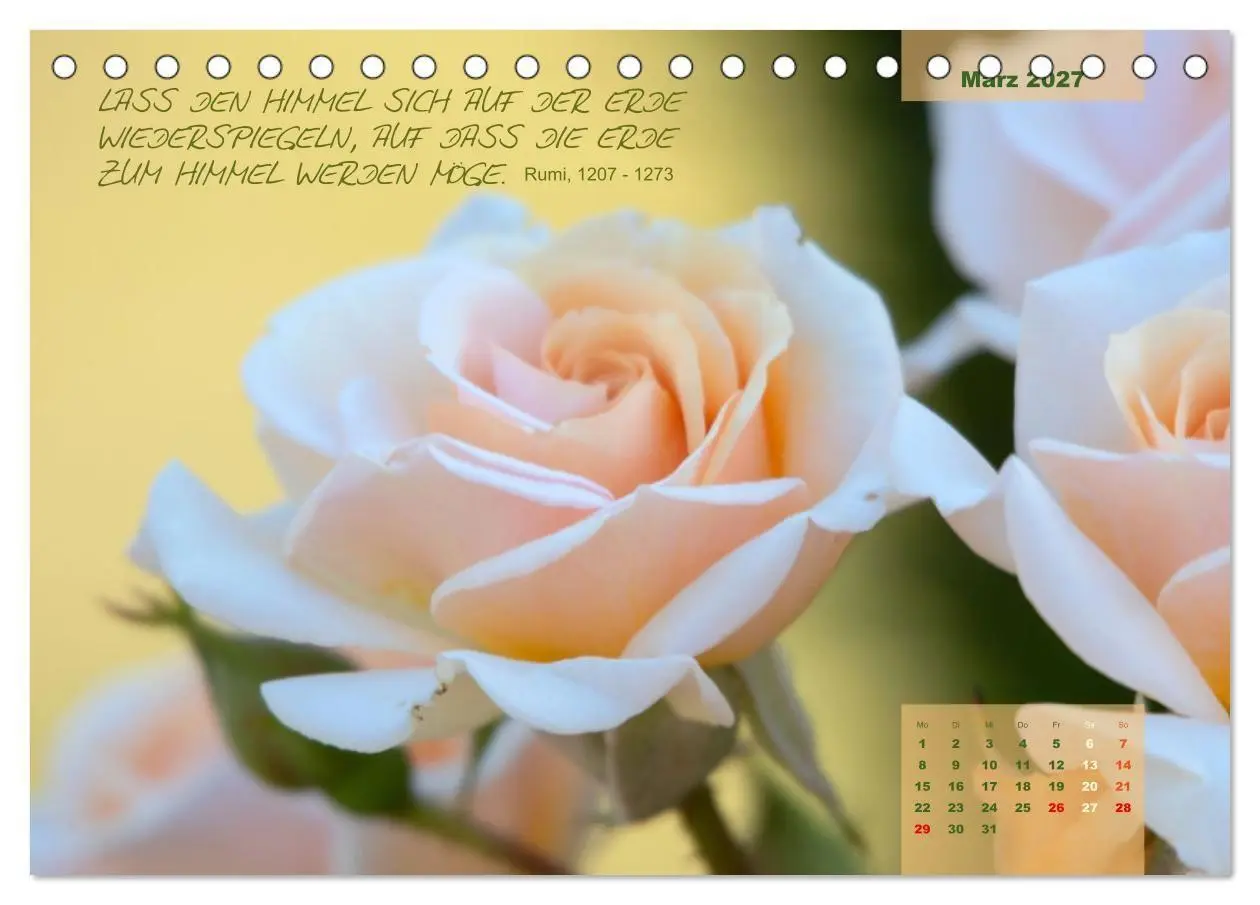 Bild: 9783569404298 | Rose Königin des Gartens (Tischkalender 2027 DIN A5 quer), CALVENDO...