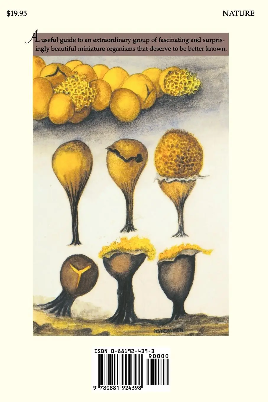 Rückseite: 9780881924398 | Myxomycetes | Steven L. Stephenson (u. a.) | Taschenbuch | Englisch