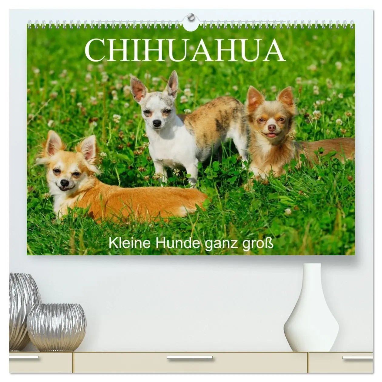 Cover: 9783516164398 | Chihuahua - Kleine Hunde ganz groß (hochwertiger Premium...